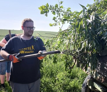 Ořez keřů a kácení stromů