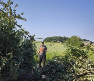 Ořez keřů a kácení stromů