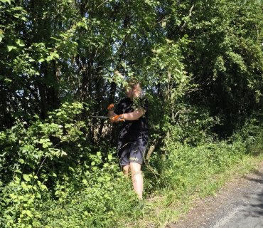 Ořez keřů a kácení stromů