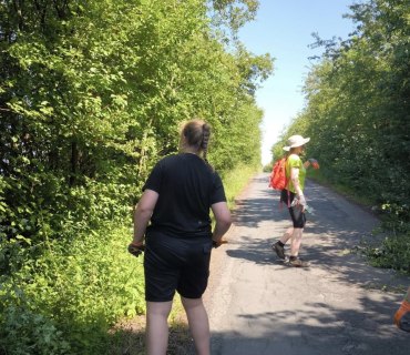 Ořez keřů a kácení stromů